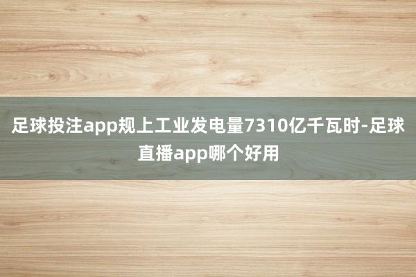 足球投注app规上工业发电量7310亿千瓦时-足球直播app哪个好用
