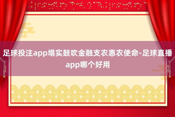 足球投注app塌实鼓吹金融支农惠农使命-足球直播app哪个好用