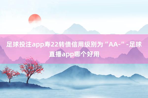 足球投注app寿22转债信用级别为“AA-”-足球直播app哪个好用