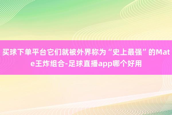 买球下单平台它们就被外界称为“史上最强”的Mate王炸组合-足球直播app哪个好用