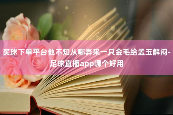 买球下单平台他不知从哪弄来一只金毛给孟玉解闷-足球直播app哪个好用