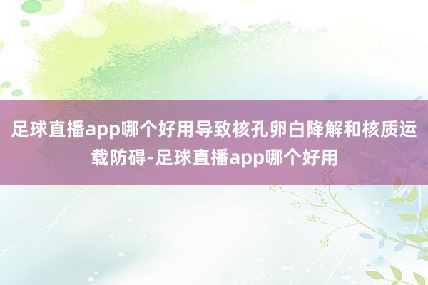 足球直播app哪个好用导致核孔卵白降解和核质运载防碍-足球直播app哪个好用