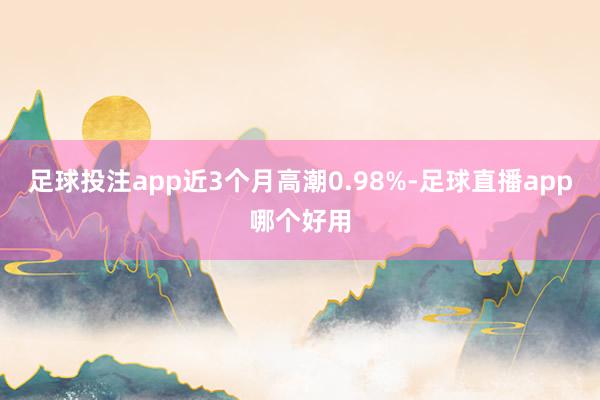 足球投注app近3个月高潮0.98%-足球直播app哪个好用