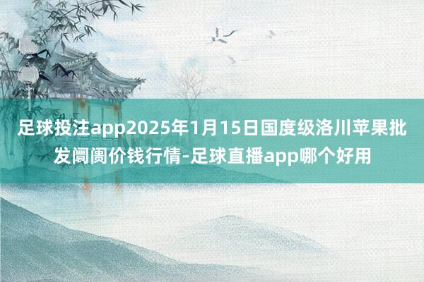 足球投注app2025年1月15日国度级洛川苹果批发阛阓价钱行情-足球直播app哪个好用
