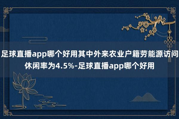 足球直播app哪个好用其中外来农业户籍劳能源访问休闲率为4.5%-足球直播app哪个好用