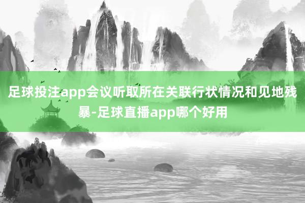 足球投注app会议听取所在关联行状情况和见地残暴-足球直播app哪个好用