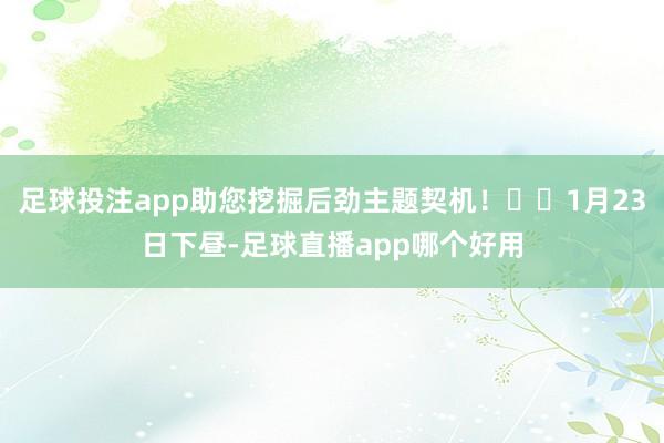 足球投注app助您挖掘后劲主题契机！		1月23日下昼-足球直播app哪个好用