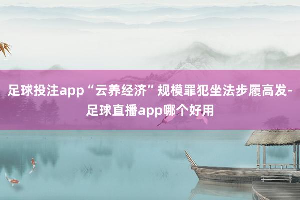 足球投注app“云养经济”规模罪犯坐法步履高发-足球直播app哪个好用