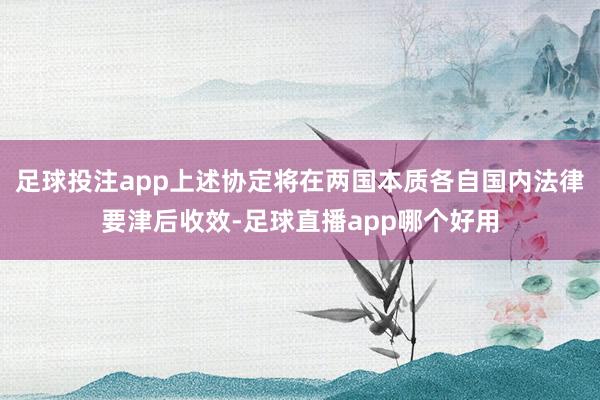 足球投注app上述协定将在两国本质各自国内法律要津后收效-足球直播app哪个好用