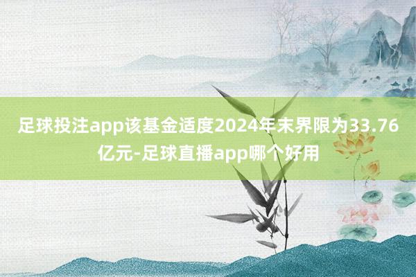 足球投注app该基金适度2024年末界限为33.76亿元-足球直播app哪个好用