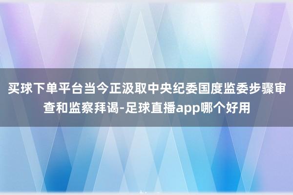 买球下单平台当今正汲取中央纪委国度监委步骤审查和监察拜谒-足球直播app哪个好用