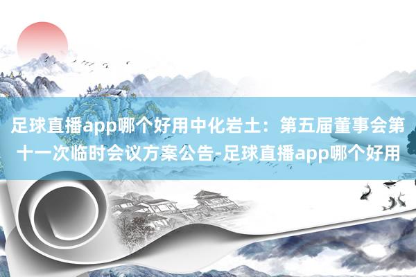 足球直播app哪个好用中化岩土：第五届董事会第十一次临时会议方案公告-足球直播app哪个好用