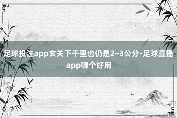 足球投注app玄关下千里也仍是2~3公分-足球直播app哪个好用