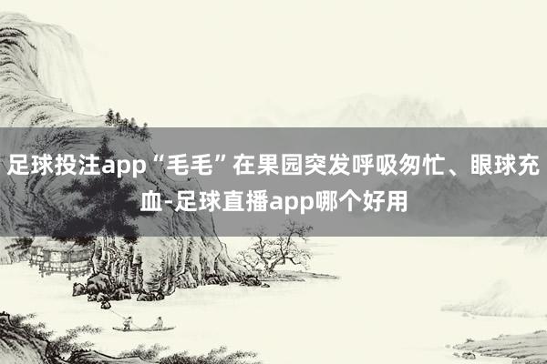 足球投注app“毛毛”在果园突发呼吸匆忙、眼球充血-足球直播app哪个好用