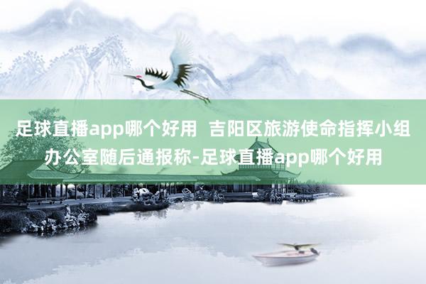 足球直播app哪个好用  吉阳区旅游使命指挥小组办公室随后通报称-足球直播app哪个好用
