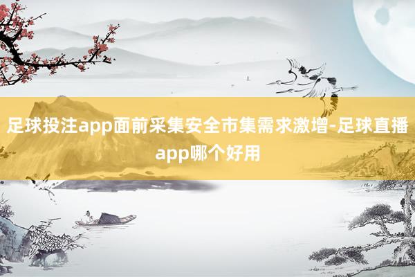 足球投注app面前采集安全市集需求激增-足球直播app哪个好用
