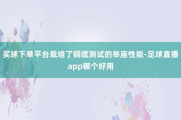 买球下单平台栽培了铜缆测试的举座性能-足球直播app哪个好用