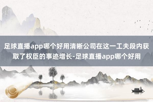 足球直播app哪个好用清晰公司在这一工夫段内获取了权臣的事迹增长-足球直播app哪个好用