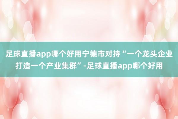 足球直播app哪个好用宁德市对持“一个龙头企业打造一个产业集群”-足球直播app哪个好用