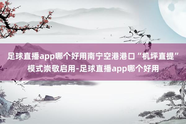 足球直播app哪个好用南宁空港港口“机坪直提”模式崇敬启用-足球直播app哪个好用