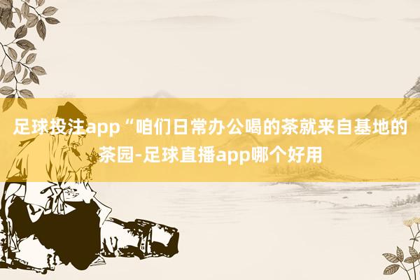 足球投注app“咱们日常办公喝的茶就来自基地的茶园-足球直播app哪个好用