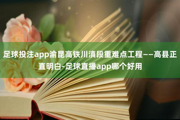 足球投注app渝昆高铁川滇段重难点工程——高县正直明白-足球直播app哪个好用