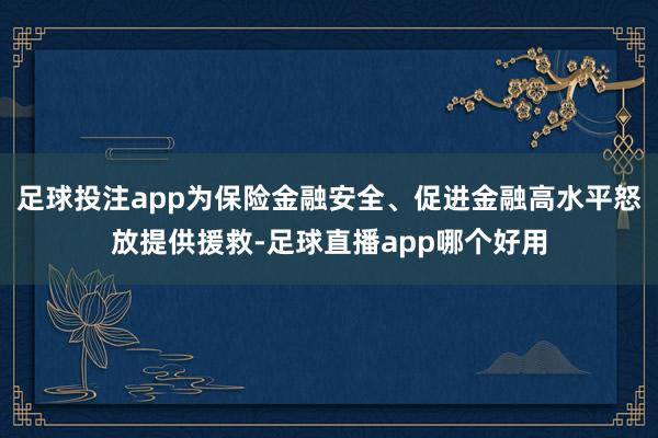 足球投注app为保险金融安全、促进金融高水平怒放提供援救-足球直播app哪个好用