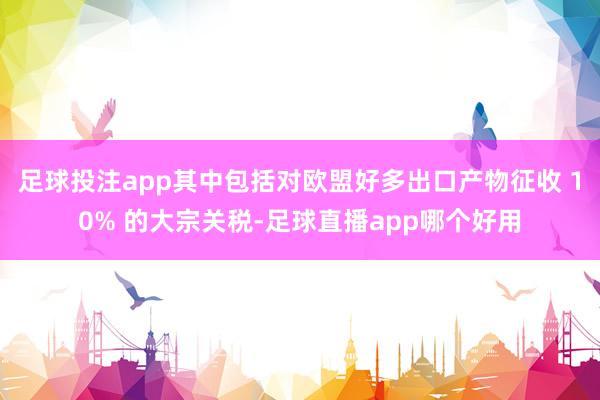 足球投注app其中包括对欧盟好多出口产物征收 10% 的大宗关税-足球直播app哪个好用