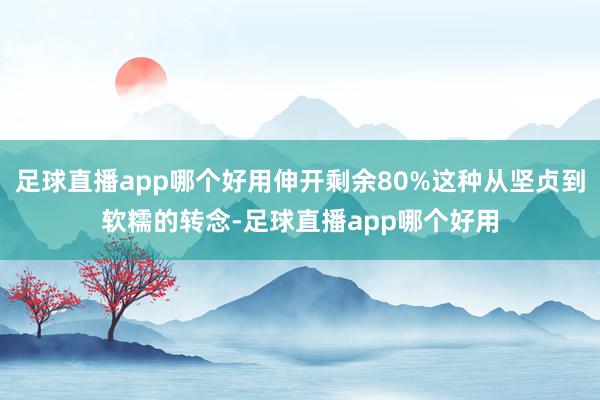 足球直播app哪个好用伸开剩余80%这种从坚贞到软糯的转念-足球直播app哪个好用