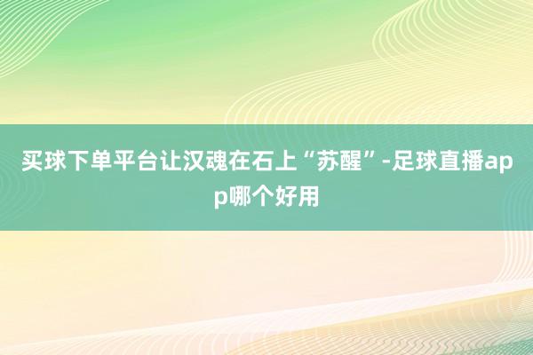 买球下单平台让汉魂在石上“苏醒”-足球直播app哪个好用