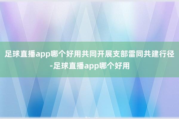 足球直播app哪个好用共同开展支部雷同共建行径-足球直播app哪个好用