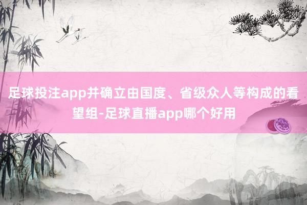 足球投注app并确立由国度、省级众人等构成的看望组-足球直播app哪个好用