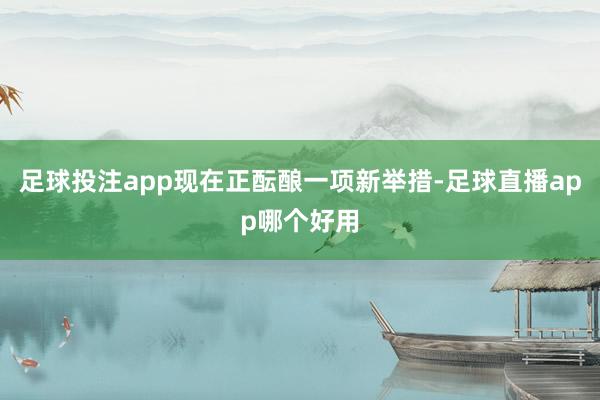 足球投注app现在正酝酿一项新举措-足球直播app哪个好用