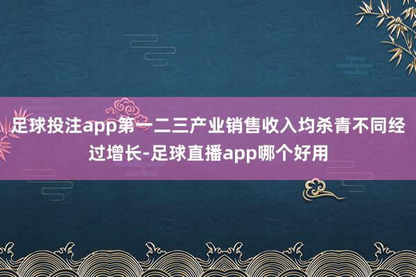 足球投注app第一二三产业销售收入均杀青不同经过增长-足球直播app哪个好用