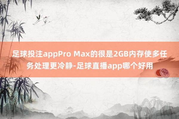 足球投注appPro Max的很是2GB内存使多任务处理更冷静-足球直播app哪个好用