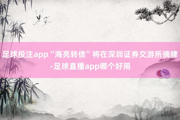 足球投注app“海亮转债”将在深圳证券交游所摘牌-足球直播app哪个好用