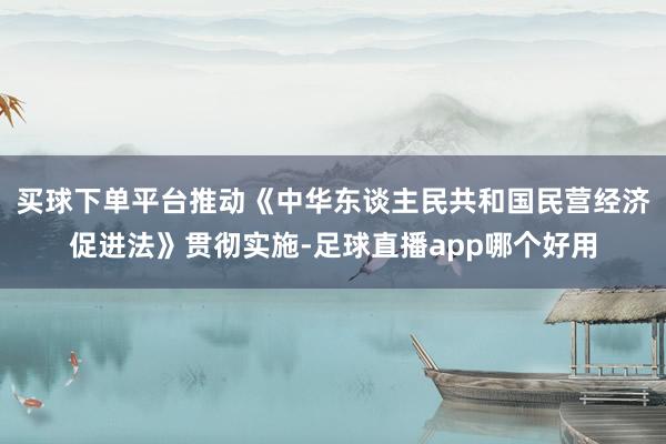 买球下单平台推动《中华东谈主民共和国民营经济促进法》贯彻实施-足球直播app哪个好用