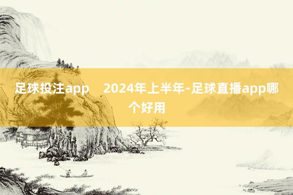 足球投注app    2024年上半年-足球直播app哪个好用