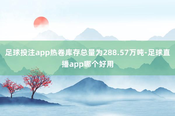 足球投注app热卷库存总量为288.57万吨-足球直播app哪个好用