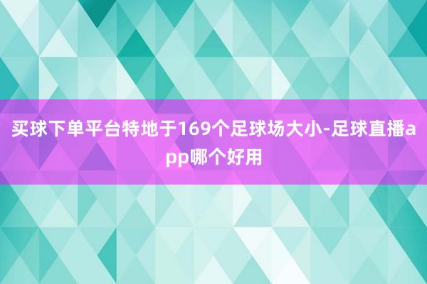 买球下单平台特地于169个足球场大小-足球直播app哪个好用