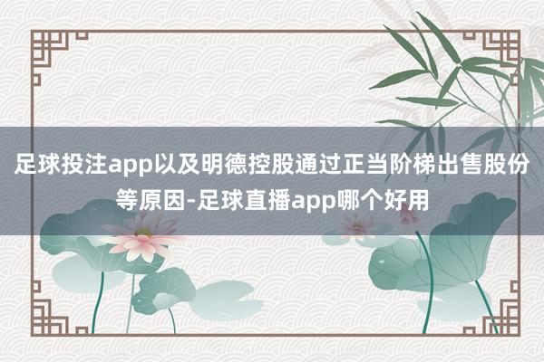 足球投注app以及明德控股通过正当阶梯出售股份等原因-足球直播app哪个好用