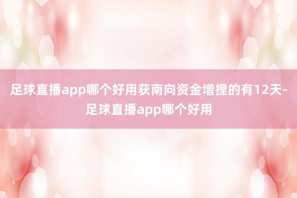 足球直播app哪个好用获南向资金增捏的有12天-足球直播app哪个好用