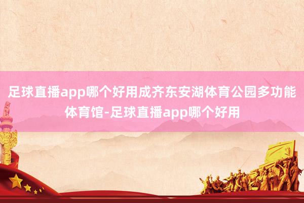 足球直播app哪个好用成齐东安湖体育公园多功能体育馆-足球直播app哪个好用