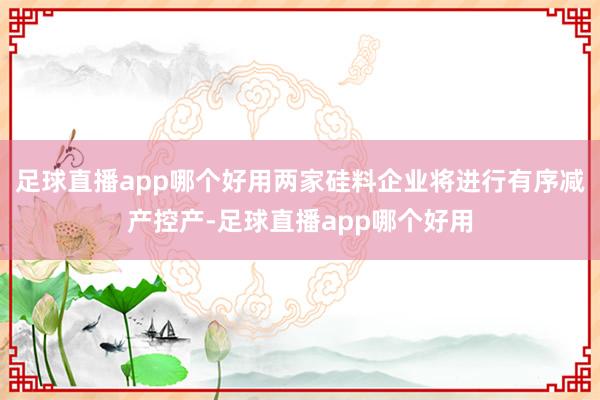 足球直播app哪个好用两家硅料企业将进行有序减产控产-足球直播app哪个好用