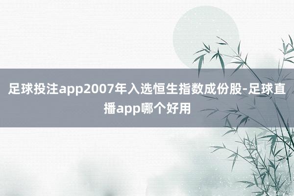 足球投注app2007年入选恒生指数成份股-足球直播app哪个好用