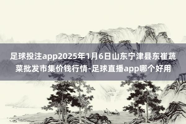 足球投注app2025年1月6日山东宁津县东崔蔬菜批发市集价钱行情-足球直播app哪个好用