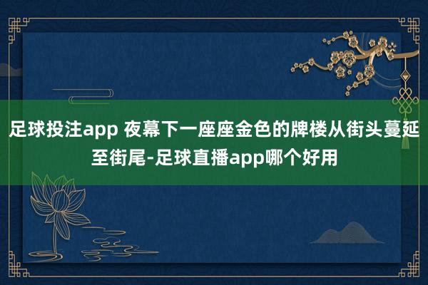 足球投注app 夜幕下一座座金色的牌楼从街头蔓延至街尾-足球直播app哪个好用