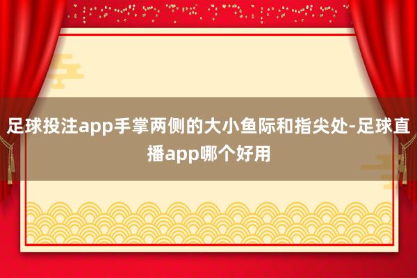 足球投注app手掌两侧的大小鱼际和指尖处-足球直播app哪个好用