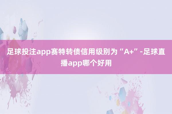 足球投注app赛特转债信用级别为“A+”-足球直播app哪个好用