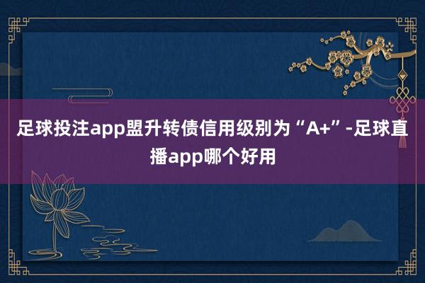 足球投注app盟升转债信用级别为“A+”-足球直播app哪个好用